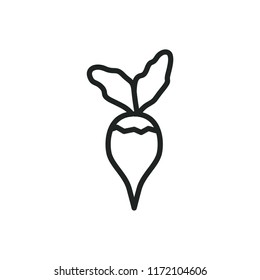 radish vector icon