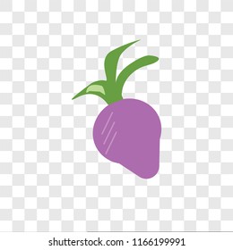 Radish vector icon isolated on transparent background, Radish logo concept