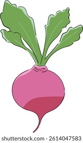 Radish. Vector Icon. Outline color drawing of radish with foliage isolated.