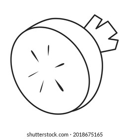 Radish vector icon.Outline vector icon isolated on white background radish.