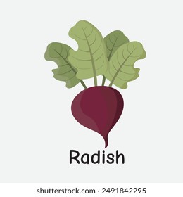 Ilustración vectorial de rábano para los amantes del jardín