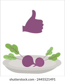 Radish vector illustration. Hand drawing healthy food vector