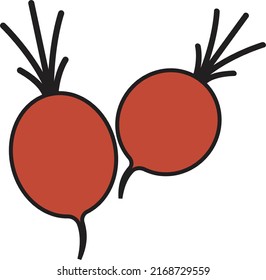Radish vector illustration. Line outline color icon for web app. Minimalist style ingridient.