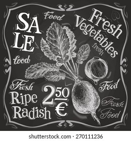 radish vector logo design template. fresh food, vegetables or menu board icon.