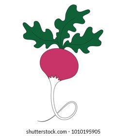 Radish vegetable cartoon. Outlined illustration with thin line black stroke