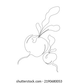 Radish vegetable in continuous line art drawing style. Radish plant minimalist black linear sketch isolated on white background. Vector one line