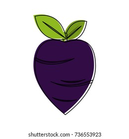 radish vegetable icon image 