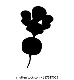 radish vegetable icon image vector illustration design 