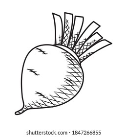 radish vegetable icon over white background, hand draw style, vector illustration