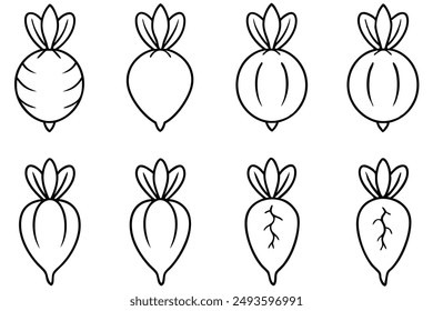 Radish Vegetable Illustration Craft Style