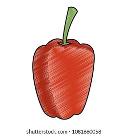 Radish vegetable isolated scribble