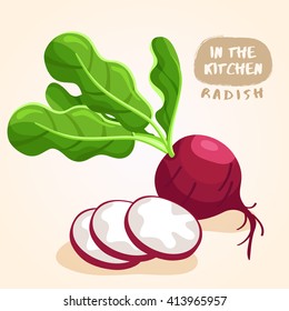 Radish : Vegetable Isolated Set : Vector Illustration