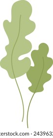 Radish Vegetable Leaves Vector Illustration