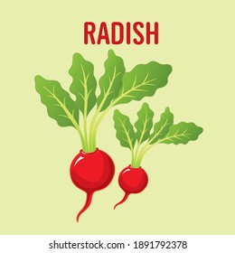el rábano es vegetal en el mundo