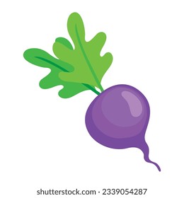 radish vegetable organic icon isolated