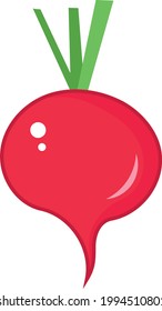 Radish vegetable plant hand drawn in flat vector. Clip art illustration.
