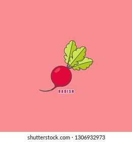 radish , vegetables , vector , eps 10