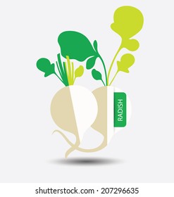 radish ,vegetables vector illustration