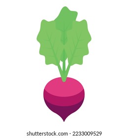 Radish zinc icon isometric vector. Nutrition supplement. Calcium health