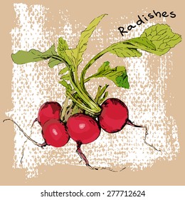 radishes