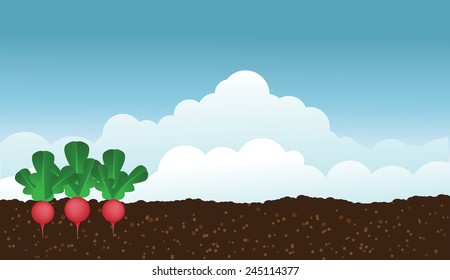 radishes in the garden EPS 10 vector stock illustration