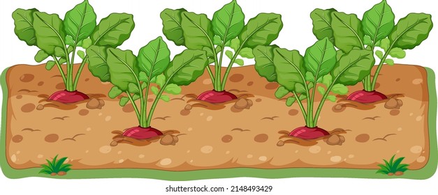 Radishes growing in soil cartoon illustration