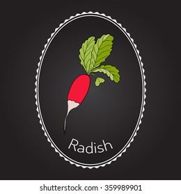 Radishes with leaves, vegetable collection, vector illustration