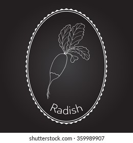 Radishes with leaves, vegetable collection, vector illustration