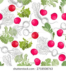 Rábanos. Patrón sin fisuras. Siluetas de colores y contornos monocromáticos sobre blanco. Arte vectorial de fondo de alimentos. Perfecto para Plantillas de diseño, Fondo de pantalla, envoltura, tela, estampado y textil.