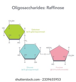 Raffinose molecular structure vector illustration diagram