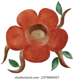 Rafflesia arnoldii or corpse flower watercolor,vector illustration.