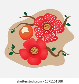 Rafflesia arnoldii or corpse flower,the biggest flower,vector illustration.