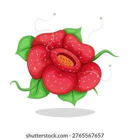 Rafflesia Arnoldii flower surrounded by flies vector isolated on white background.