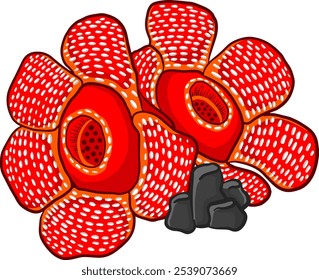 Rafflesia arnoldii flower vector design