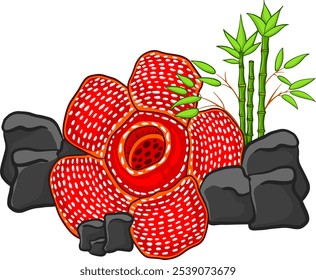 Rafflesia arnoldii diseño de Vector de flores