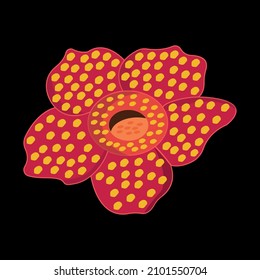 Rafflesia Arnoldii flower vector and illustration. Flower in Indosnesia.