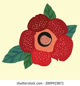 Rafflesia Arnoldii Semi-Realistic Vector Illustration