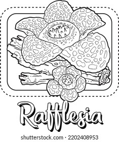 Rafflesia Artline Flower Illustration For Kids Coloring Book
