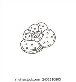 Rafflesia flower outline icon. The biggest flower. Vector hand drawn illustration. Isolated rafflesia flower on white background.