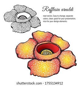Tomatenblume, gefleckt, einfarbig