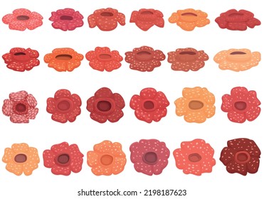 Rafflesia icons set cartoon vector. Flower bloom. Asian beauty