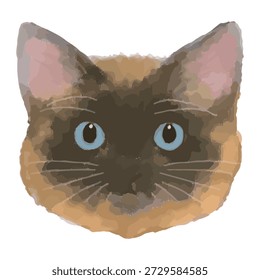 Ragamuffin Cat Face Close-Up – Realistic Vector Illustration for Pet, Editorial, and Commercial Design