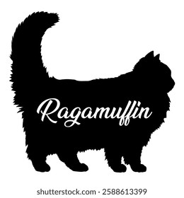 Ragamuffin cat silhouette, cat, cat breeds, logo, vector, silhouette,  animal, illustration, icon, sign, design, black, symbol, pet, love
