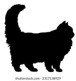 Ragamuffin cat silhouette cat breeds vector