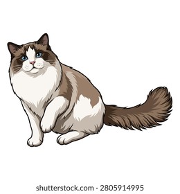Ragdoll cat and blue