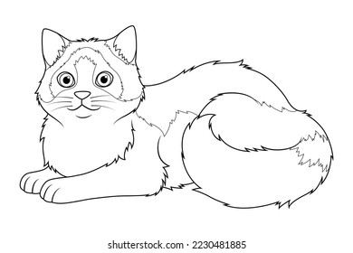 Ragdoll Cat Cartoon Animal Illustration BW