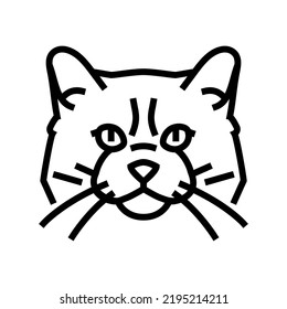 ragdoll cat cute pet line icon vector. ragdoll cat cute pet sign. isolated contour symbol black illustration