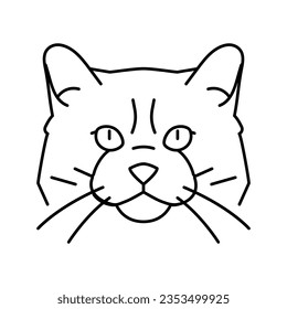 ragdoll cat cute pet line icon vector. ragdoll cat cute pet sign. isolated contour symbol black illustration