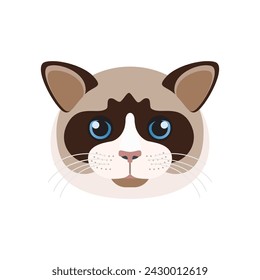 Ragdoll cat face with blue eyes, whiskers and colorpoint coat on muzzle vector illustration