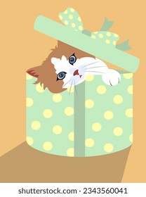 Ragdoll Chat Innen einer Geschenkbox, Vektorgrafik, Geschenkkarte